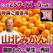 【送料無料】別役さんちの山北マルチ栽培みかん・露地もの・早生・秀品（特撰ご贈答用）・5kg・小粒2Sサイズ【産地直送】