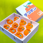 でこぽん・約3㎏箱入り