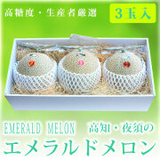 高知・夜須のエメラルドメロン（秀品マスクメロン）・特撰ご贈答用・３玉入【送料無料（関東～九州）】