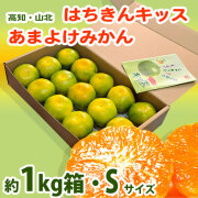 高知・山北の雨よけみかん（はちきんキッス）・1kg箱入り（小分け品）【送料無料】