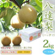 【産地直送】八達（はったつ）梨・秀品・自然栽培（山本農法）・植田省三梨園・2kg・4～6玉