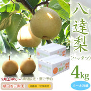 【産地直送】八達（はったつ）梨・秀品・自然栽培（山本農法）・植田省三梨園・4kg（2kg×2箱）・8～12玉