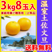 温室土佐文旦（ハウス栽培品）・特撰ご贈答用（極上品）・3kg・8玉入