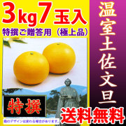 温室土佐文旦（ハウス栽培品）・特撰ご贈答用（極上品）・3kg・7玉入【送料無料】