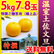 温室土佐文旦（ハウス栽培品）・特撰ご贈答用（極上品）・5kg・7～8玉入【送料無料（関東～九州）】