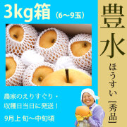 豊水（ほうすい）梨（なし）・秀品・3kg・5～9玉・厳選農家のもぎたて・産地直送