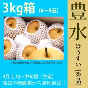 豊水（ほうすい）梨（なし）・秀品・3kg・5～9玉・厳選農家の産地直送