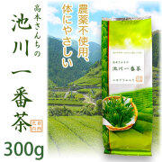 【土佐茶】高知の池川茶・農薬不使用・一番茶緑茶（煎茶）300g【2026年産】