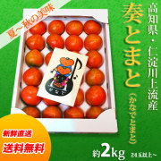 奏（かなで）とまと・高知県仁淀川上流域産・約2kg（24玉位～）・ご贈答用・夏から秋の味濃厚トマト【送料無料（関東～九州）】