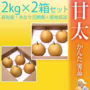甘太（かんた）梨（なし）・秀品・2kg×2箱セット（合計8～12玉前後入）・厳選農家のもぎたて・産地直送