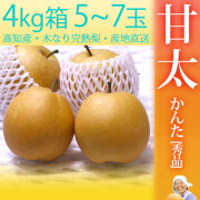 甘太（かんた）梨（なし）・秀品・4kg・5～7玉入・厳選農家のもぎたて・産地直送