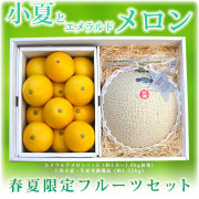 高知・夜須エメラルドメロンとハウス土佐小夏・特選フルーツ・ギフトセット【送料無料（関東～九州）】