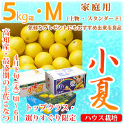 土佐小夏（とさこなつ）・高知県産・家庭用（上物・スタンダード）・大箱（約5kg）・Mサイズ