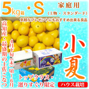 土佐小夏（こなつ・高知県産・山波・丸波・ハウス小夏）・家庭用（上物・スタンダード）・大箱（5kg）・Ｓサイズ【送料無料（関東～九州）】
