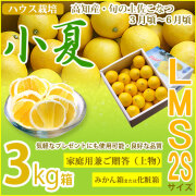 みんなの土佐小夏・家庭用兼ご贈答用（上物）・中箱（約3kg）・2S、S、M、Lサイズ・高知県産・ハウス栽培の小夏