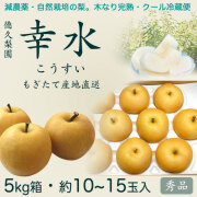 幸水（こうすい）梨・秀品5kg・10～15玉入り・厳選農家のもぎたて・産地直送【夏ギフトにもおすすめ】