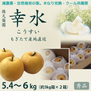 【木なり完熟・もぎたてクール便】幸水梨（こうすいなし）・秀品・5.4～6kg（中箱&times;2箱セット）・12～18玉・厳選農家の産地直送品【夏ギフトにもおすすめ】