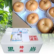 黒岩産・秋月（あきづき）梨（なし）・秀品・3kg（5～7玉）・高知の梨名産地・厳選農家のもぎたて・産地直送