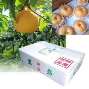 黒岩産・秋月（あきづき）梨（なし）・秀品・5kg（10～12玉）
