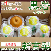 【産地直送】黒岩（くろいわ）産の新高梨（にいたかなし）・高知県佐川町黒岩梨出荷組合・梨農家厳選品・秀品・約4kg・5玉入り【送料無料（関東～九州）】