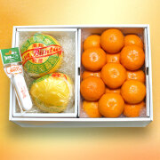 お買い得♪ 高知県産　ハウス文旦　温室土佐文旦　約10㎏　ブンタン 送料込】温室土佐文旦（ハウス文旦）お得箱約10kg（中玉～特大