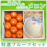 高知・夜須エメラルドメロンと山北温室みかん（ハウスみかん）・特撰ギフトセット【送料無料（関東～九州）】