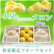 送料無料商品一覧 高知の特産品通販 さとのわ