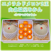 【夏ギフト・暑中お見舞い】高知・夜須エメラルドメロン2玉と山北温室みかん・スペシャルセットＡ【送料無料（関東～九州）】