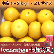 みんなの逸品！土佐文旦（とさぶんたん）・中箱（～5kg）・2Lサイズ・高知県内から味良し厳選品をお届け