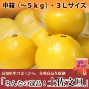 みんなの逸品！土佐文旦（とさぶんたん）・中箱（～5kg）・3Lサイズ・高知県内から味良し厳選品をお届け