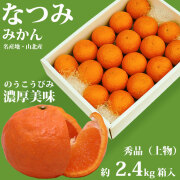 なつみ 約2.4kg箱