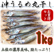 沖うるめ・1kg