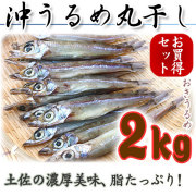 【特撰】沖うるめ丸干し・土佐干物（高知産・天日干し）・２kgセット