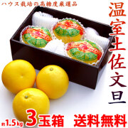3玉入（中玉サイズ）