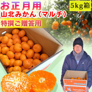 山北のお正月用みかん・別役さん産地直送・5kg箱入り・赤秀品（特選クラス）・選べる2S、S、M、Lサイズ