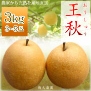 王秋梨（おうしゅうなし）・ご家庭用・3kg・3～5玉入・産地直送