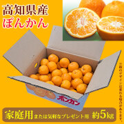ぽんかん（高知産）家庭用兼ご贈答（気軽なプレゼント用）・約5kg箱入り【送料無料（関東～九州）】