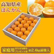 ぽんかん（高知産）家庭用兼ご贈答（気軽なプレゼント用）・約2.4kg前後入り【送料無料（関東～九州）】