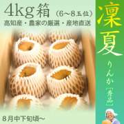【もぎたてクール便】凜夏(りんか)梨（なし）・秀品・4kg・6玉～10玉前後入・厳選農家の産地直送