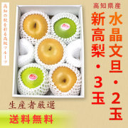 【送料無料】高知県産・新高梨３玉＋水晶文旦２玉・詰め合わせセット