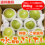 水晶文旦（高知県産）・特価 ご家庭用・約4kg・（中玉以上・5～8玉）【送料無料】
