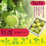 62高知特産 水晶文旦 8～6玉入 約3kg ×8箱 文旦 産地直送 送料無料 水晶文旦（高知県産）・特選ご贈答用・3kg箱・6玉入