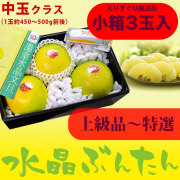 水晶文旦（高知県産）・上物～特選ご贈答用・小箱・3玉入り【送料無料（関東～九州）】