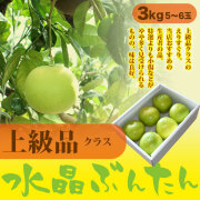 水晶文旦（高知県産）・上級品（家庭用兼ご贈答用）・3kg箱・5～6玉【送料無料（関東～九州）】