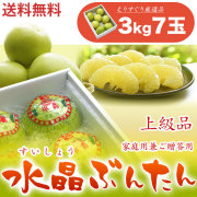 生産者厳選・水晶文旦（高知県産）・上級品（家庭用兼ご贈答用）・3kg箱・7玉【送料無料（関東～九州）】