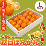 立目（たちめ）ぽんかん（高しょう系・岡山系）ご家庭用兼ご贈答用・約2.5kg箱入り・Lサイズ【送料無料（関東～九州）】