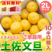 高知県産・土佐文旦・まるけん（丸研）または光（ひかり）ブランドの良品限定・厳選ご家庭用・大箱（～10kg）・2Lサイズ【送料無料】