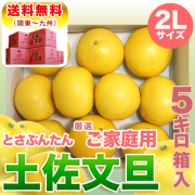 高知県産・土佐文旦・まるけん（丸研）ブランドの良品限定・厳選ご家庭用・中箱（～5kg）・2Lサイズ【送料無料（関東～九州）】
