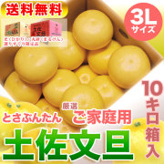 高知県産・土佐文旦・まるけん（丸研）または光（ひかり）ブランドの良品限定・厳選ご家庭用・大箱（～10kg）・3Lサイズ【送料無料（関東～九州）】