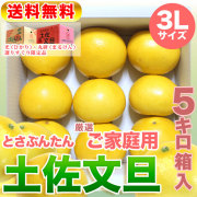 高知県産・土佐文旦・まるけん（丸研）または光（ひかり）ブランドの良品限定・厳選ご家庭用・中箱（～5kg）・3Lサイズ【送料無料（関東～九州）】